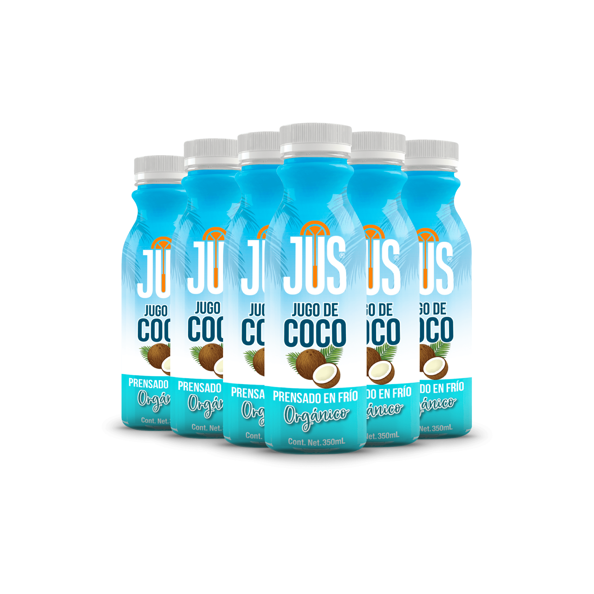6 Pack Coco Orgánico